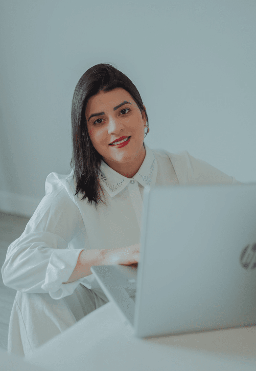 Limpeza Profissional